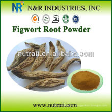 Extracto de raíz de Figwort natural en polvo (Scrophularia ningpoensis)